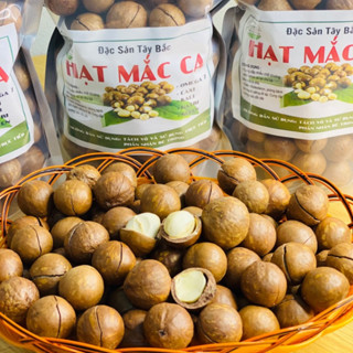 Hạt macca hữu cơ Lai Châu nứt vỏ loại 1 size đại sấy khô từ macca tươi. Quả macca, mắc ca, mac ca sấy sống làm sữa hạt