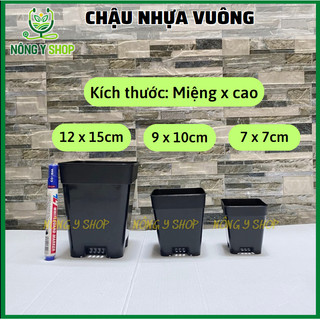 Chậu vuông nhỏ, chậu vuông đen, chậu sen đá, xương rồng, chậu ươm cây, nhiều size