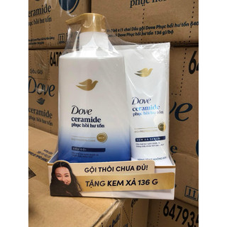 (tặng tuýp xã) Dầu gội Dove phục hồi hoặc Dove bồng bềnh chai 640g tặng gội hoặc xả tùy đợt hàng