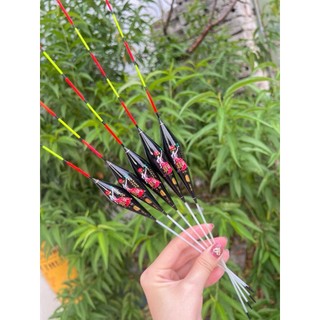 Phao Câu Đài,Phao Kim,Chất Lượng,Báo Cá Chuẩn