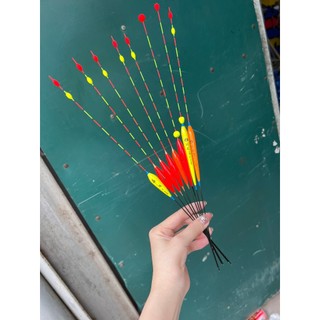 Phao Câu Đài,Phao Kim,Chất Lượng,Báo Cá Chuẩn