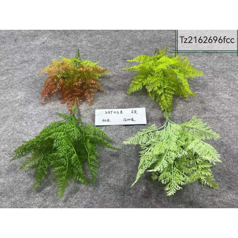 Bụi lá dương xỉ giả