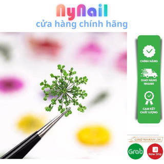 nhíp gắp chuyên dụng nail