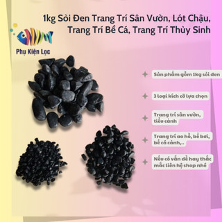 Sỏi Đen Trang Trí Sân Vườn, Lót Chậu, Trang Trí Bể Cá, Trang Trí Thủy Sinh 1kg