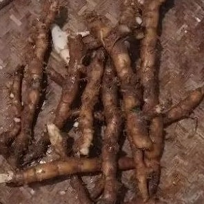 Củ cát lồi, củ mía dò tươi 1kg