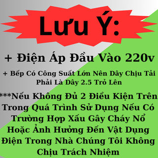 Bếp Từ I Bếp Từ Đơn LC1017plus