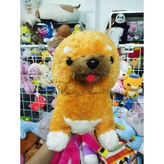 Gấu bông amuse size khoảng 40cm hàng nhật
