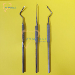 Nạy rootip - bộ/3 cây