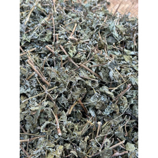 Chè dây rừng phơi khô tự nhiên