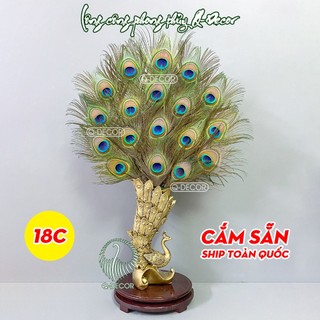 Bình lông công cắm sẵn 18 cành mắt to 4-6cm, mã bình bc01