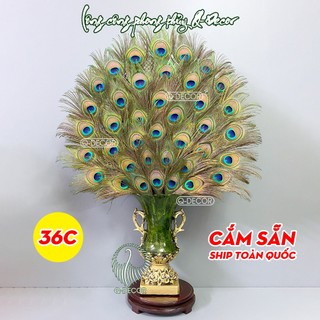 Bình lông công CẮM SẴN 36 mắt to 4-6cm, mã bình BCUP, chất liệu nhựa Composite
