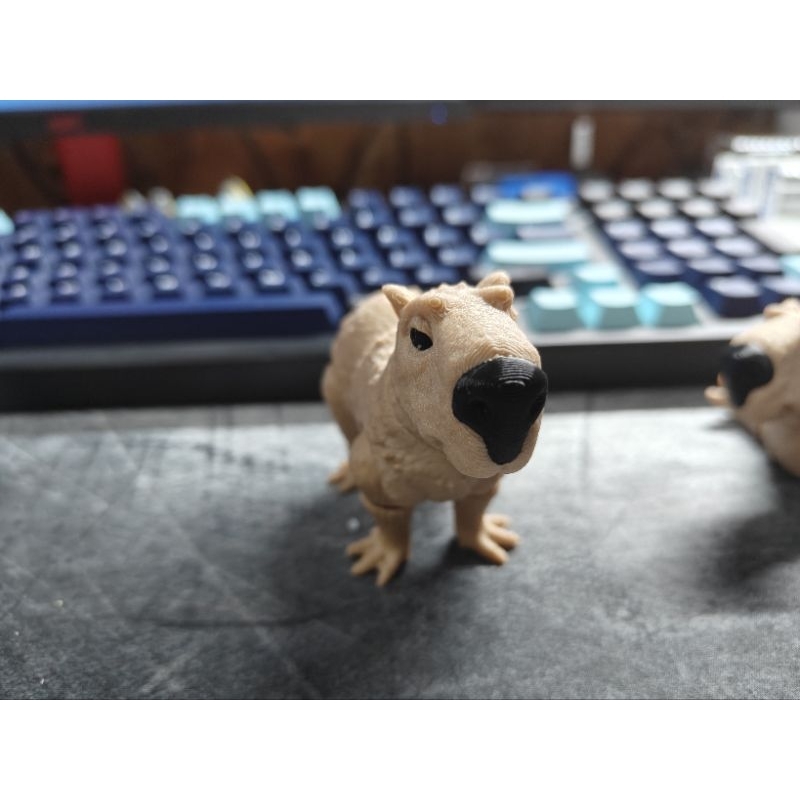 [Say Store] Mô hình Capy Bara in 3D màu