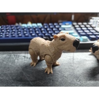 [Say Store] Mô hình Capy Bara in 3D màu