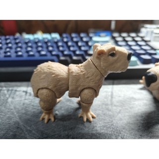 [Say Store] Mô hình Capy Bara in 3D màu