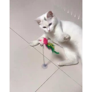 ĐỒ CHƠI CHO THÚ CƯNG CHUỘT LÒ XO CÓ HÍT ĐẤT
