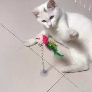 Đồ chơi chuột lò xo hít đất cho thú cưng, đồ chơi cho mèo