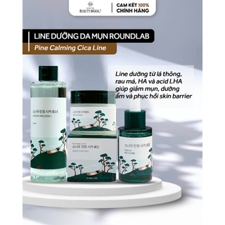 Tinh chất, pad và toner dịu mụn roundlab pine calming cica