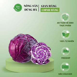 BẮP CẢI TÍM tươi, ngon, hỗ trợ giảm cân với món salad ngon lành