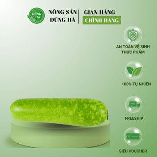 BẦU SẠCH tươi ngon, tuyển chọn tại vườn, món ngon thanh mát cho cơ thể
