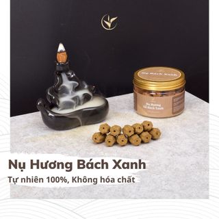  Nụ Trầm Hương Bách Xanh Mộc Châu tự nhiên 100% không hóa chất chính hãng Thiện Tài Trà 