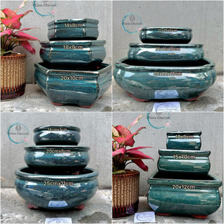 Chậu trồng cây cảnh, chậu chữ nhật, chậu lục giác, chậu o van.