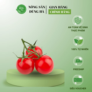 CÀ CHUA BI ĐỎ, VÀNG tuyển chọn, vừa ngon vừa an toàn cho sức khỏe