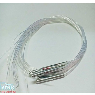 CẢM BIẾN NHIỆT WZP-PT100