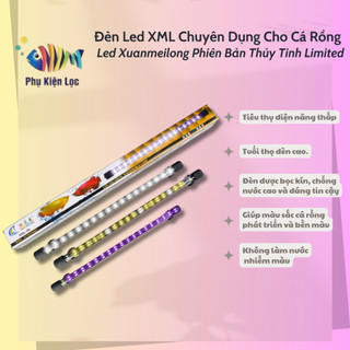 Đèn led xml chuyên dụng cho cá rồng - led xuanmeilong phiên bản thủy tinh limited
