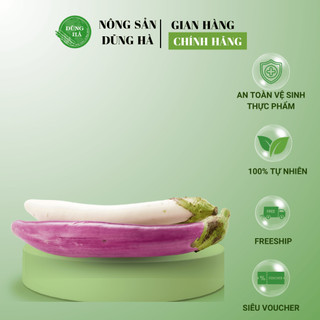 CÀ TÍM DÀI tươi, ngon, siêu phẩm cho món chay cực chuẩn vị