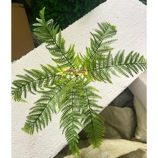 Cây dương xỉ giá, dương xỉ lớn trang trí, 7 lá, 43cm