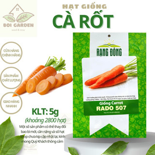 Hạt giống cà rốt rado 507 _hạt giống rạng đông