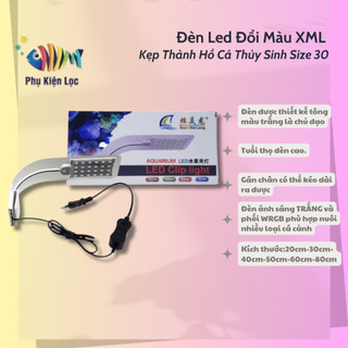 Đèn led đổi màu xml kẹp thành hồ cá thủy sinh size 30
