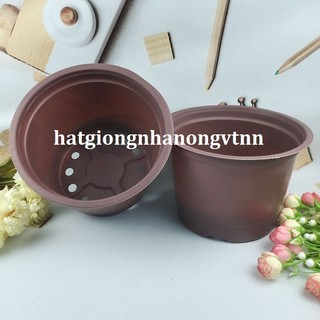 Combo 5 cái Chậu nhựa Mềm trồng cây 20x15cm