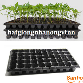 Khay nhựa đen ươm cây, khay ươm hạt giống, khay gieo hạt 50 lỗ