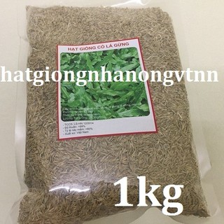 1 kg hạt giống cỏ lá gừng ,cỏ lá tre ,cỏ trồng sân vườn