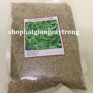 Gói 100 gram.Hạt giống cỏ lá gừng ,cỏ lá tre,cỏ trồng sân vườn-tặng kèm gói phân bón