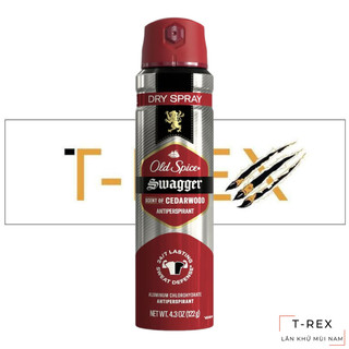 Xịt Giữ Khô Old Spice Sweat Defense Stronger Swagger Dry Spray 122Gr
