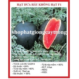 Hạt giống dưa hấu không hạt vỏ đen thái lan dể trồng/gói 10 hạt