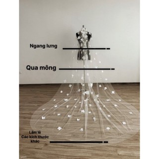 Voan lúp đính hoa  và lông Vũ