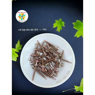 Vít Bắn Tôn Bắn Sắt Đầu Lục Giác 100gram (vít loại 1 đầu vít có chữ D)