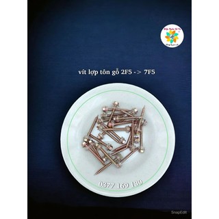 Vít bắn gỗ bắn tôn đầu lục giác 100gram 9k