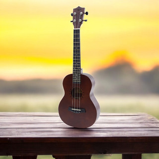 Đàn Ukulele Concert Gỗ size 23 Ammon giá sinh viên - HÀNG CÓ SẴN