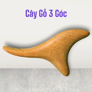 Cây Ấn Huyệt 3 Đầu Bằng Gỗ Bách