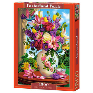 Bộ tranh ghép Castorland