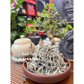 bạch trà thái an