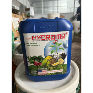 Hydro Mỹ Xanh
