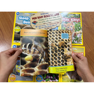 National Geographic Kids level Pre-reader (30q - Nhập khẩu tặng kèm mp3)