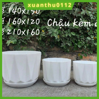   Chậu+ đĩa Chậu nhựa đặt bàn có đĩa giả sứ KIM CƯƠNG MÚI KHẾ tròn trắng 3 size trồng hoa cây cảnh văn phòng 