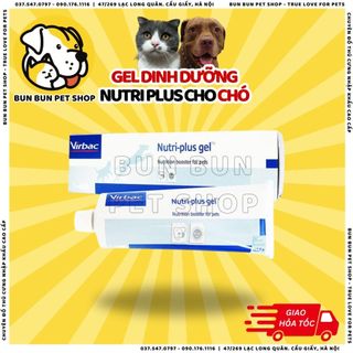 Gel dinh dưỡng Nutriplus (Nutri plus/Nutri gel) cho chó