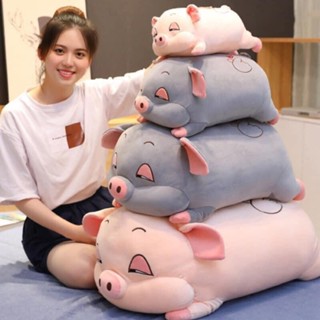 Gấu bông Gối ôm Heo mắt híp, Heo lim dim buồn ngủ ANVIHOME, Gấu kèm chăn các size